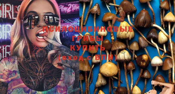 герыч Белокуриха