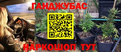 mix Новозыбков