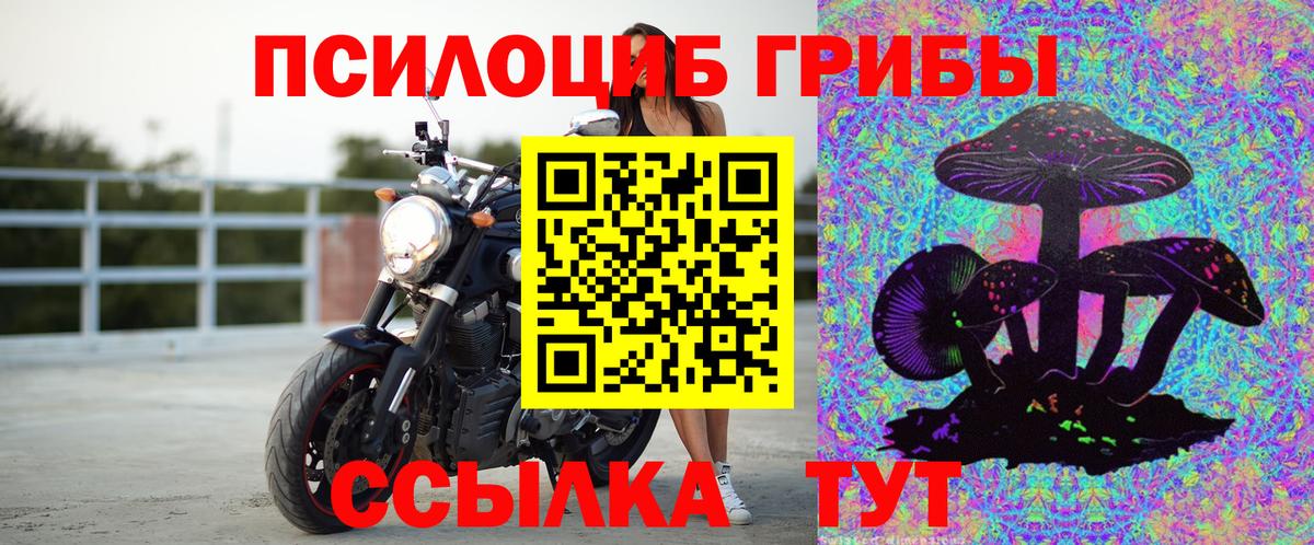 Радужный  Псилоцибиновые грибы MAGIC MUSHROOMS  Псилоцибиновые грибы Psilocybine cubensis  купить наркотик  Вход с VPN 