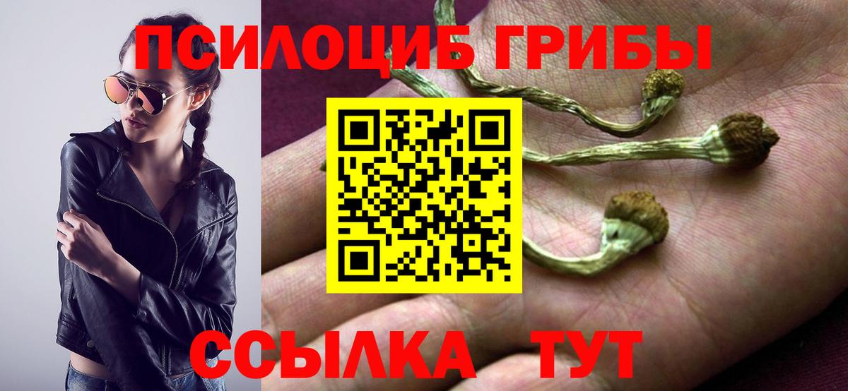 Галлюциногенные грибы Psilocybe Радужный